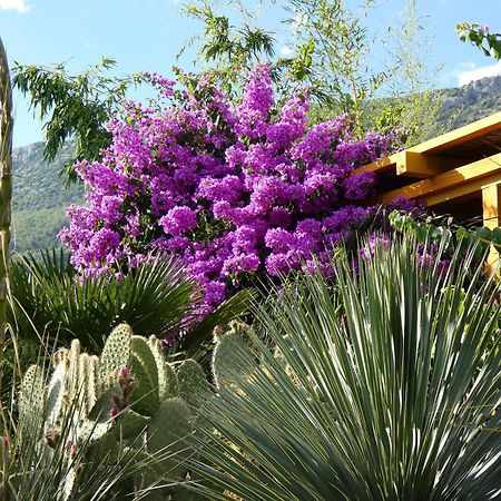 Villa Tropica, Total Privacy, Tropical Garden And Private Pool Kastela Bagian luar foto